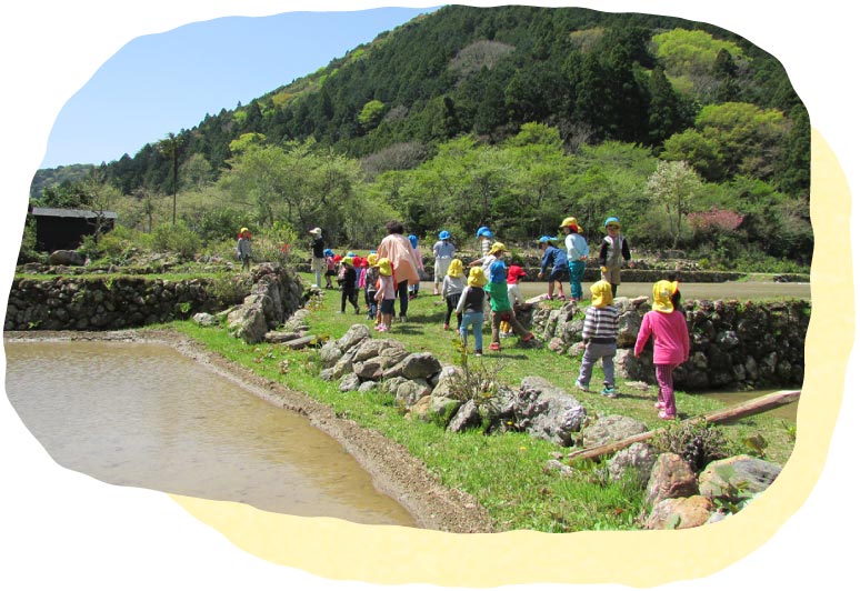 田んぼのある風景