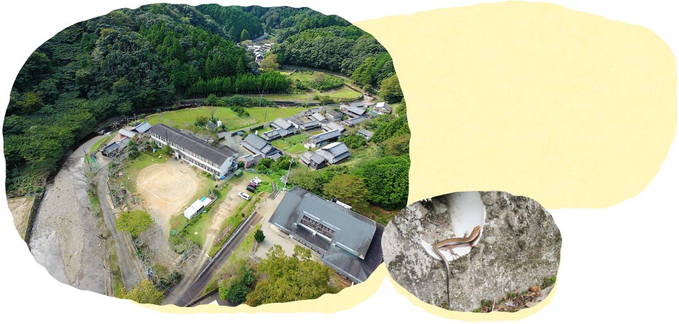 自然豊かな環境