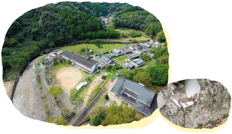 自然豊かな環境