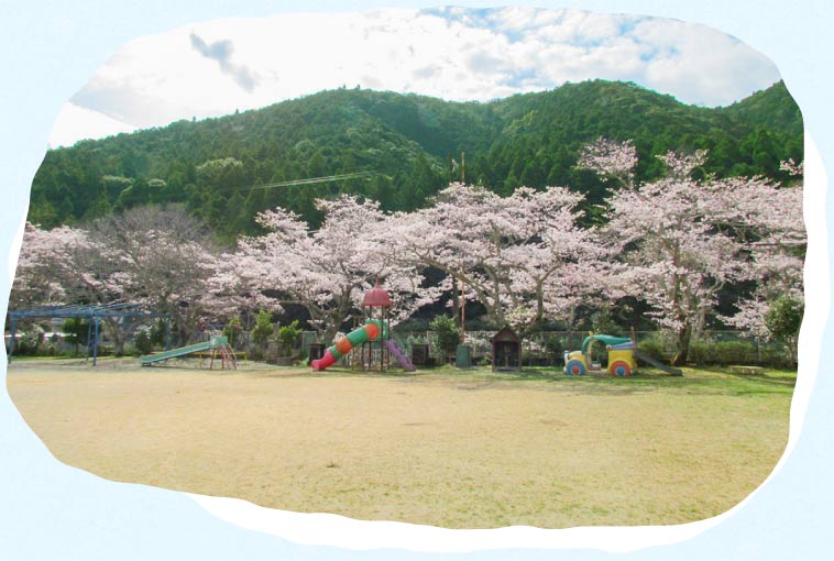 自然に囲まれた広い園庭