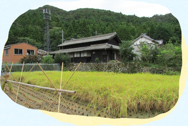 地産地消にこだわった手作り給食
