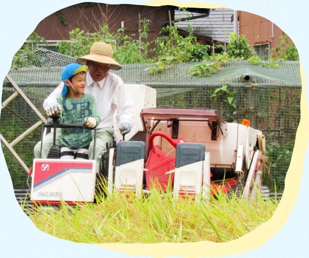 地産地消にこだわった手作り給食