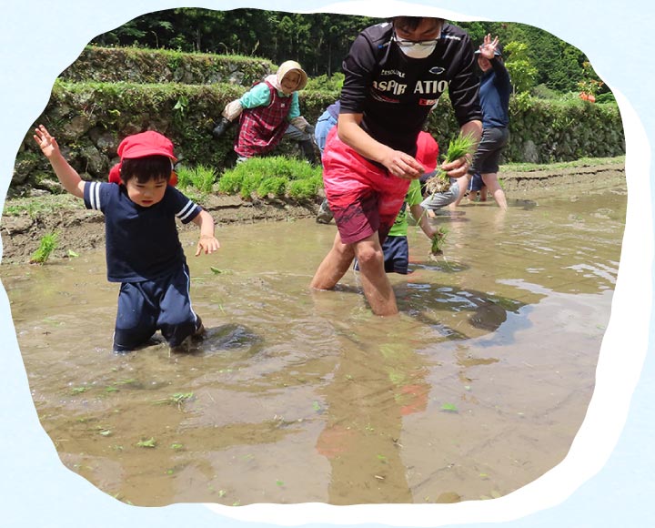 田植え・稲刈り